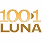 FM Luna logo