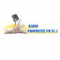 Radio Prophetie Fm 91.1 logo