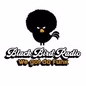 Radio Black Bird logo