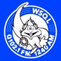 Q102 - WSQL logo