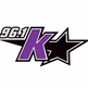 96.1 K-Star - KSTR-FM logo