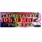Radio Flamboyan FM Bengkulu logo