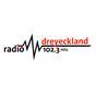 Radio Dreyeckland FM - RDL Radio logo