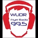 Flyer Radio - WUDR logo