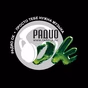 Радио OK logo