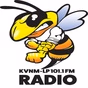 KVNM 101.1 FM - KVNM-LP logo