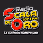 Radio Scala de Oro logo
