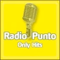 Radio Punto - Hits Channel logo