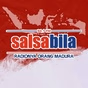 94.1 Salsabila FM logo