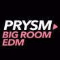 Prysm Radio - EDM Big Room logo