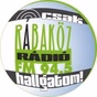 Rádió Rábaköz logo