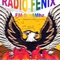FM Fenix 91.1 Embarcacion logo
