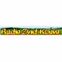 Radio Zvizd logo