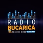 Radio Bucarica logo