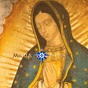 Maria Vision - Carlo Acutis logo