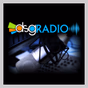 DSG NEWS RADIO logo