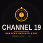 Channel 19 logo