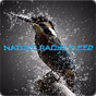 Nature Radio Sleep logo
