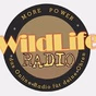 Wild Life Radio - Club Stream logo