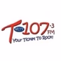 T-107 Your ticket to Rock - WCTT-FM logo