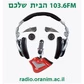Radio Oranim logo