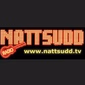 Radio Nattsudd logo