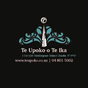 Te Upoko o te Ika Radio logo