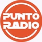 Punto Radio Cascina logo