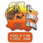 El Lobo de Mina - XEMTV logo
