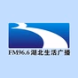 湖北生活广播 logo