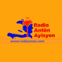 Radio Antèn Ayisyen International logo