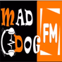Bolly-DOG logo