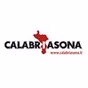 Calabria Sona Web Radio logo