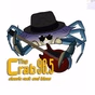 96.5 The Crab - W243CY logo