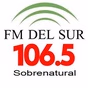 FM del Sur logo
