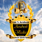 Arabesk Vadisi logo