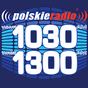 Polskie Radio 1030 Chicago - WRDZ logo