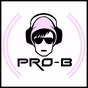 Radio Pro-B logo