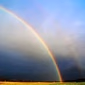 Rainbo logo