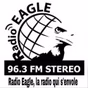 Radio Eagle FM logo