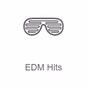 Radio Record - EDM Classics logo