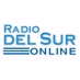 Radio Del Sur Online - Love Songs Channel logo