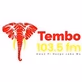 Tembo 103.5 Fm logo