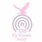 DS Fly Waves Radio logo