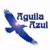 Aguila Azul logo