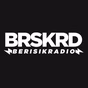 Berisik Radio logo