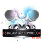 Radio Narsaa logo