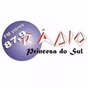 FM Princesa Do Sul logo
