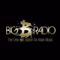 Big B Radio - JPop Channel logo