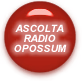 Radio Opossum logo